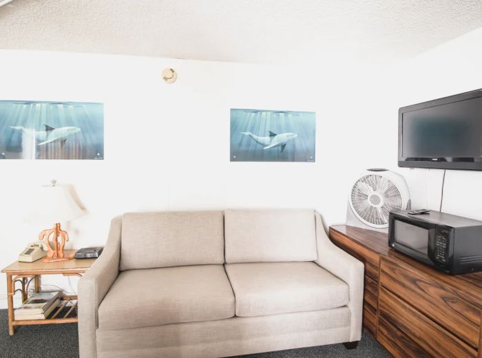 A small living space with a gray sofa, two whale posters, a wall-mounted TV, fan, microwave, lamp, phone, and wooden side table.