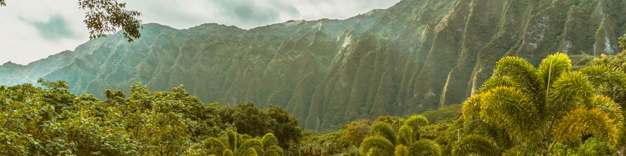 The image shows a lush, green tropical landscape with a road cutting through dense vegetation, leading towards steep, mist-covered mountains.
