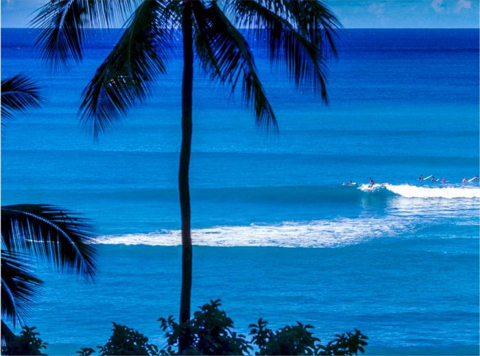 The image shows a serene beach scene with vibrant blue water, palm trees, and small waves in the background under a clear sky.