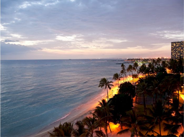 A peaceful beach scene at sunset with a coastline, palm trees, and distant city lights under a cloudy sky, creating a serene ambiance.