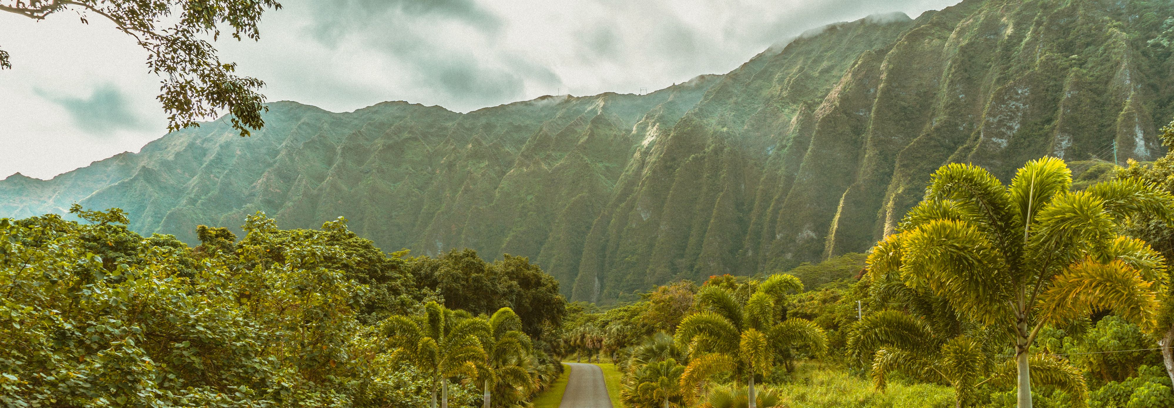 Things To Do in Waikiki